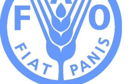 Food and Agriculture Organization (FAO)