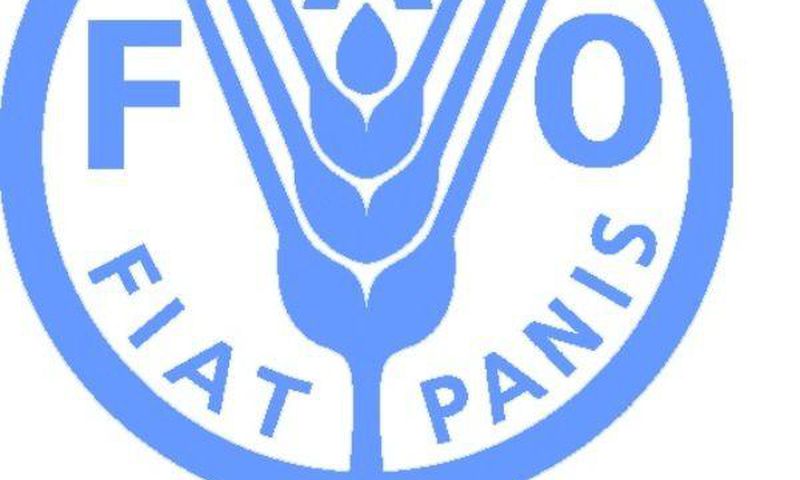 Food and Agriculture Organization (FAO)