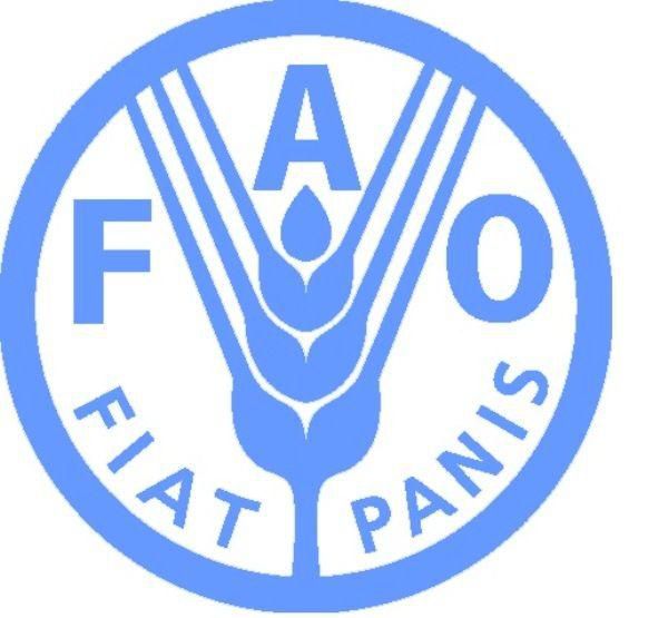 Food and Agriculture Organization (FAO)
