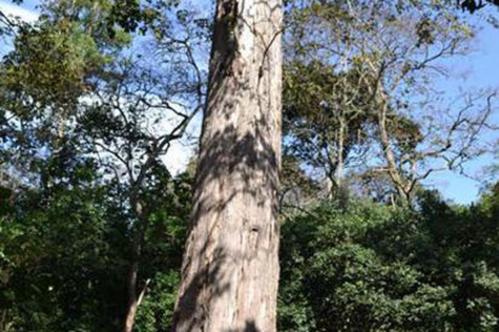 King Muuru as seen from a distance