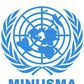 United Nations Multidimensional Integrated Stabilization Mission in Mali (MINUSMA)