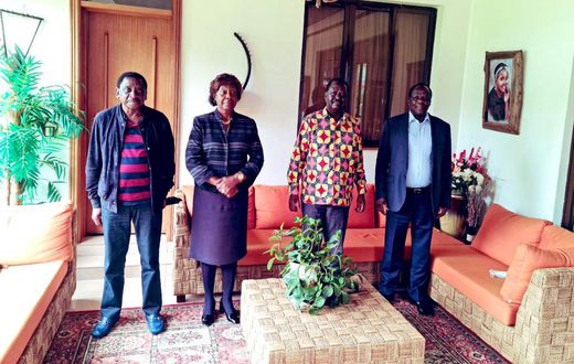 Chungwa iko Imara -Ngilu says after meeting with Raila
