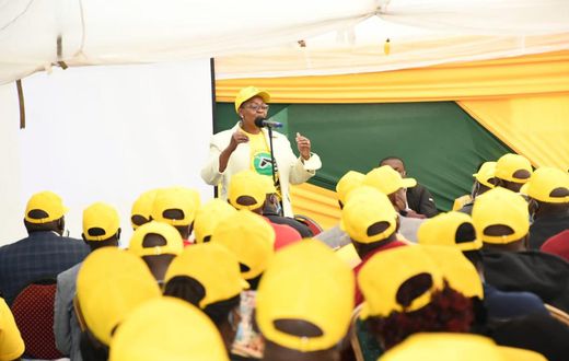 UDA party Secretary-General Veronica Maina during a past delegates meeting