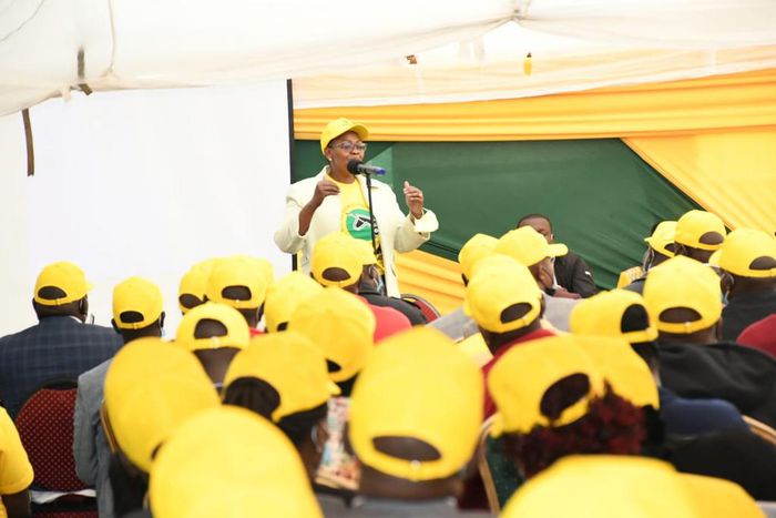 UDA party Secretary-General Veronica Maina during a past delegates meeting