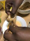 Recipe with a Pulse Live Twist: The Pulse spicy, breadcrumb-coated Fried Chicken
