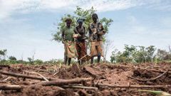 Food and Agriculture Organization (FAO)