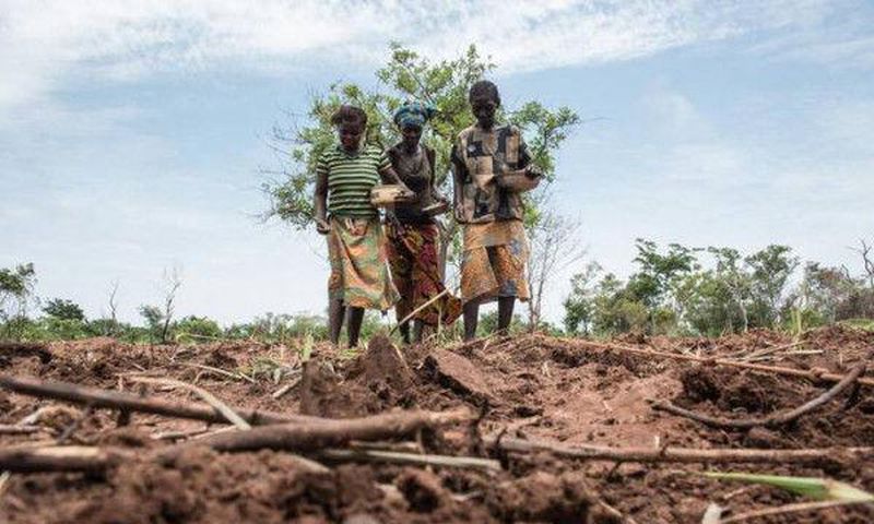Food and Agriculture Organization (FAO)