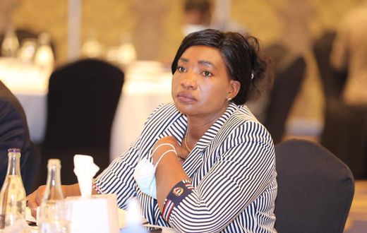 National Assembly Land Committee chair Rachel Nyamai