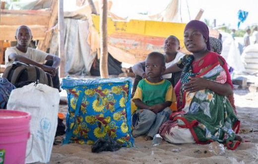 World Food Programme (WFP)