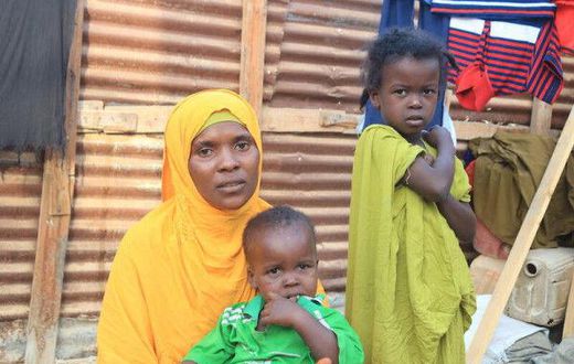 United Nations High Commissioner for Refugees (UNHCR)