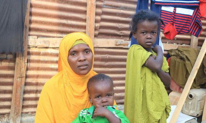 United Nations High Commissioner for Refugees (UNHCR)