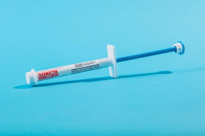 Ivermectin horse medicine syringe