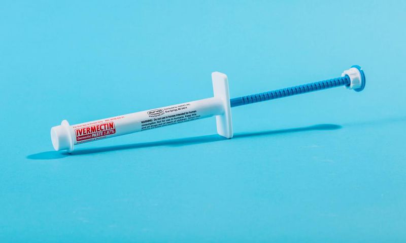 Ivermectin horse medicine syringe