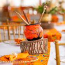 Photos from Muthoni Mukiri and Isaac’s Ruracio (Instagram-Velos photography)