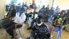 United Nations Mission in South Sudan (UNMISS)