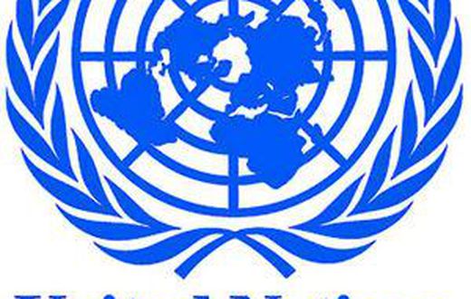 United Nations (UN)