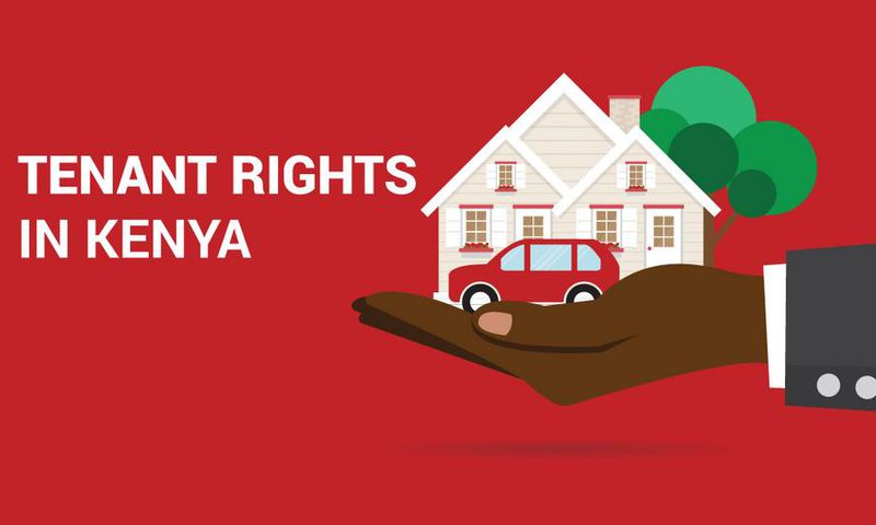 BuyRentKenya: Know your rights as a Tenant in Kenya