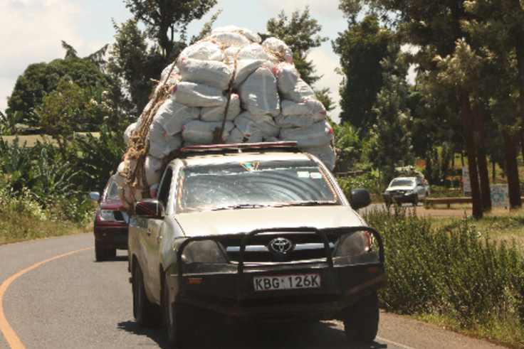 Pick-ups transporting miraa from Meru to the Wilson Airport for export.
