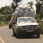 Pick-ups transporting miraa from Meru to the Wilson Airport for export.