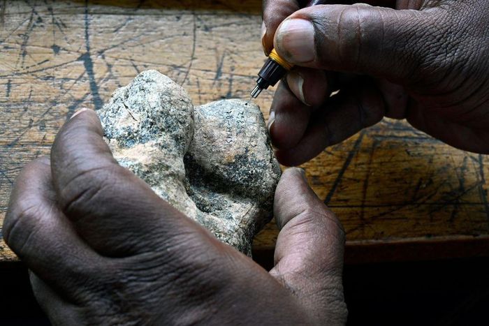 Collection manager Justus Erung labels a fossil before storing at the paleontology department of the Nairobi National Museum, in Nairobi on May 23, 2019. - Between 7,000 and 10,000 new fossils arrive at the Nairobi National Museum's lab every year, Kib...