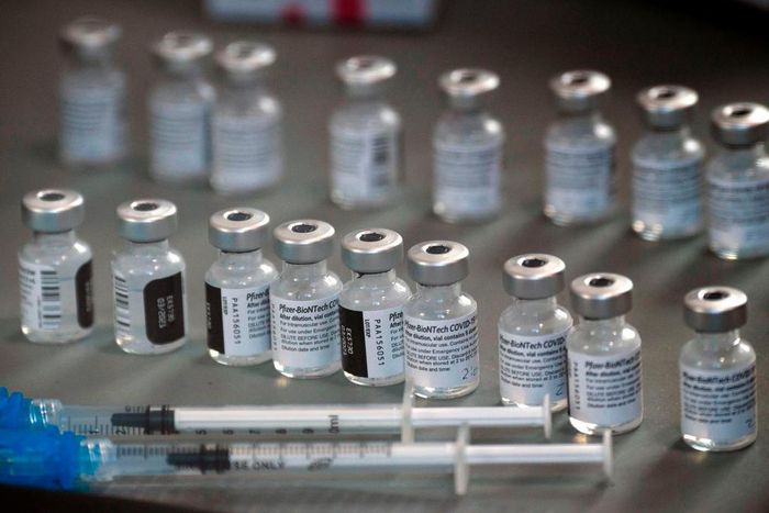Vials of the Pfizer-BioNTech Covid-19 vaccine.