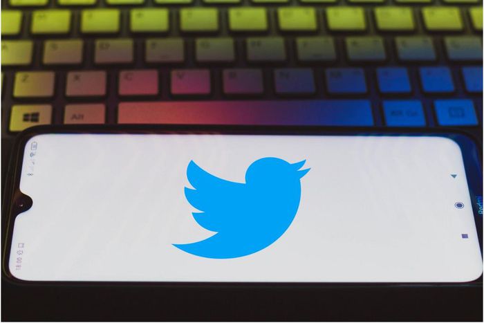 Twitter staff can work from home "forever."