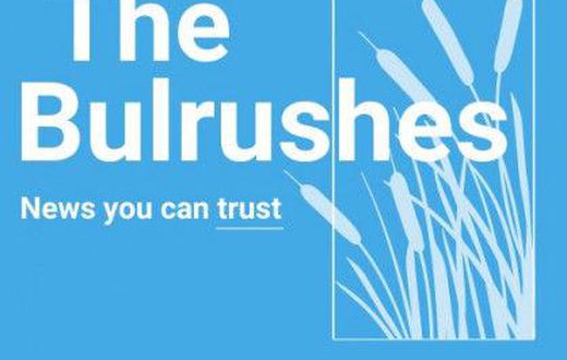 The Bulrushes