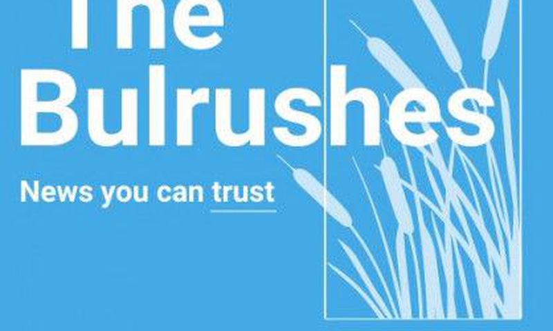 The Bulrushes