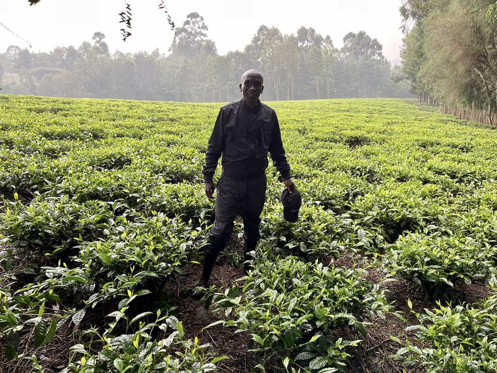 Eliud Kipchoge recently shared pictures of him in his tea farm in Nandi county.