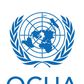 Office for Coordination of Humanitarian Affairs (OCHA)