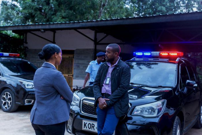 Showmax Original Series, Crime and Justice