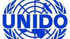 United Nations Industrial Development Organization (UNIDO)