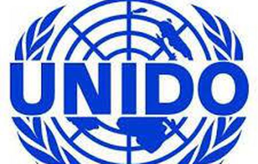 United Nations Industrial Development Organization (UNIDO)