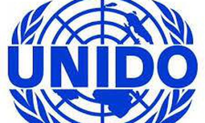 United Nations Industrial Development Organization (UNIDO)
