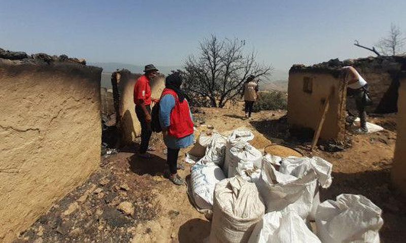 International Federation of Red Cross and Red Crescent Societies (IFRC)