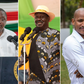 Uhuru Kenyatta, Raila Odinga, Babu Owino top Google searches