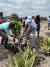 Davidson Wakairu Gatuhi during a tree-planting exercise at Mavoko Primary School, Kilifi County