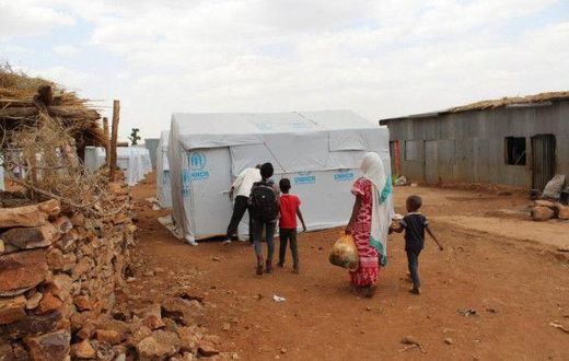 United Nations High Commissioner for Refugees (UNHCR)