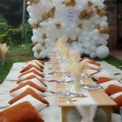 Photos from Tumiso Mathenge's Picnic Party upon 15