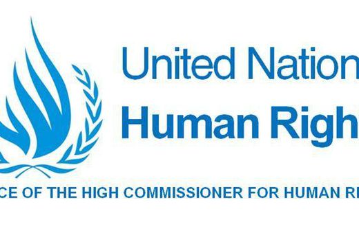 Office of the UN High Commissioner for Human Rights (OHCHR)