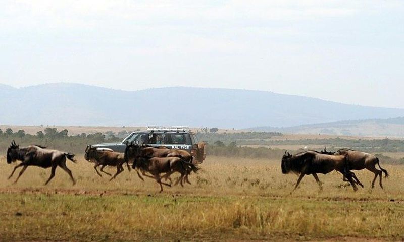 Tourism is now the second largest driver of growth in Kenya, home to some of the world's most visited safaris