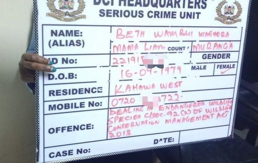 42 year old woman arrested with endangered sandal wood worth Sh750,000