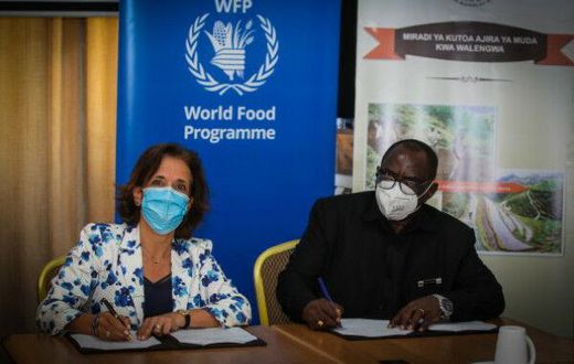 World Food Programme (WFP)