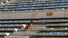 Lebanon's top football stadium once hosted some of the world's best players, but today it has become a neglected, blast-hit arena