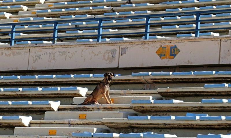 Lebanon's top football stadium once hosted some of the world's best players, but today it has become a neglected, blast-hit arena