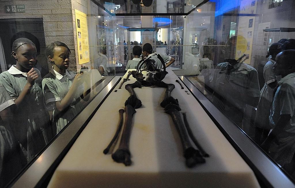 TO GO WITH AFP STORY BY HELEN VESPERINI School children look at the nearly complete 1.6-million-year-old skeleton, belonging to the species Homo ergaster and found near Lake Turkana, Kenya, that belonged to an eight-year-old boy nicknamed "Turkana Boy,...