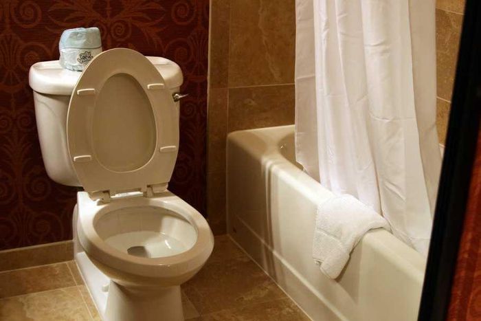 Your toilet seat could help a road be built.