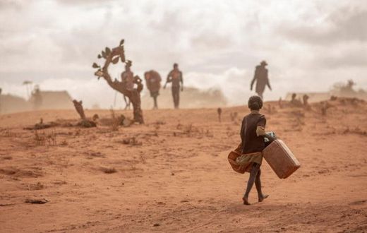 World Food Programme (WFP)
