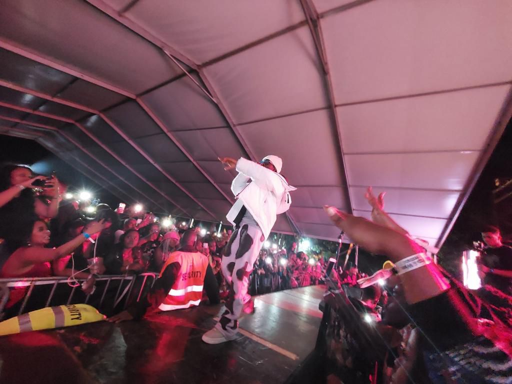 How the Pizza and Wine Festival went down headlined by Omah Lay
