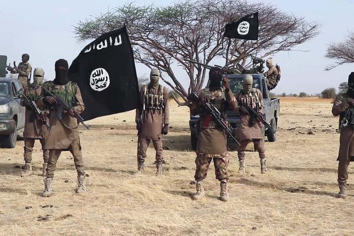 ISWAP kills Christians on Christmas Day (Daily Post)